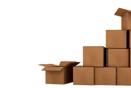 3PL Warehousing Services: The Backbone of Logistics