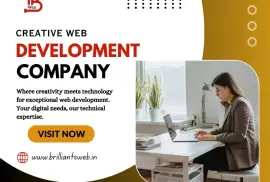 Hire Best Web Development Company In Mohali - Brilliants Web