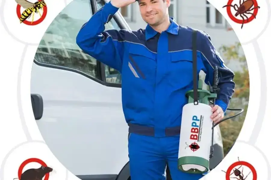 Pest Control Kleinberg – Same Day Service