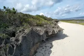 DIJUAL SEGERA: Tanah di Pinggir Pantai Kawona, Sumba Barat Daya, Indonesia;