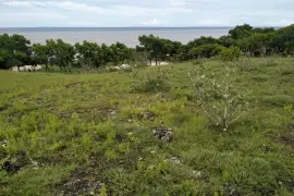 DIJUAL CEPAT: Tanah Pinggir Pantai Karang Indah, Sumba Barat Daya, NTT