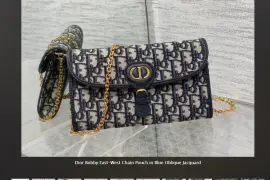 Elegant Replica Dior Bags – BragMyBags