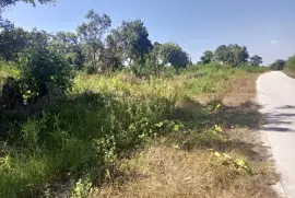 DIJUAL SEGERA: Tanah Pinggir Pantai Wee Wella, Sumba Barat Daya, NTT