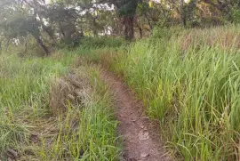 DIJUAL SEGERA: Tanah Pinggir Pantai Wee Wella, Sumba Barat Daya, NTT