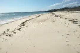 DIJUAL CEPAT: Tanah Pinggir Pantai Kaghona, Loura, Sumba Barat Daya, NTT