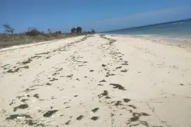DIJUAL CEPAT: Tanah Pinggir Pantai Kaghona, Loura, Sumba Barat Daya, NTT