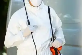Affordable Pest Control Services for Homes & Offices