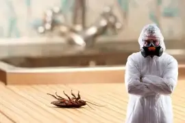 Affordable Pest Control Services for Homes & Offices