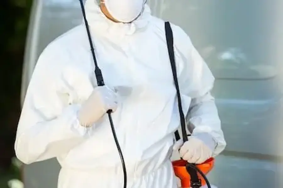 Affordable Pest Control Services for Homes & Offices