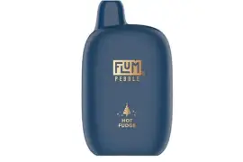 Flum Pebble Disposable Device 5% 6000 Puffs 10pk Device
