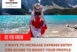 Hire Commercial Visa Consultants In Canada -  Excalibur Immigration