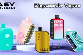 Best Disposable Vape | Disposable Vapes USA | Best Disposable E Cig Devices