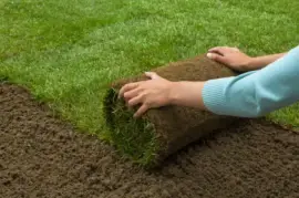 Professional Lawn Turf Growers in Dublin