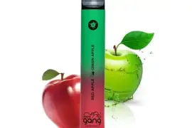 Bang XXL Switch Duo 6% Disposable Device 2500 Puffs 10pk