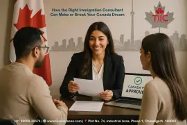 How the Right Immigration Consultant Can Make or Break Your Canada Dream