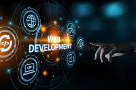 Economical Web Development Services by Digi Ninja