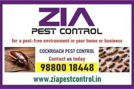 Call Us Today for Pest Free Environment  General Pest control service | 187