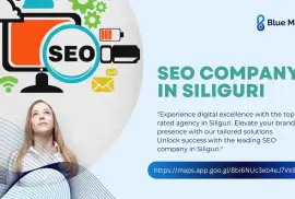 Comprehensive Digital Marketing Agency in Siliguri