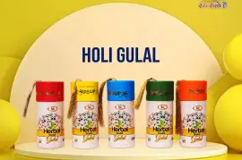 Organic Holi Colours Manufacturers 