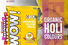 Organic Holi Colours Manufacturers 