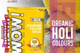 Buy Holi Colour Online at wholesale price