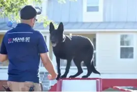 Sit Means Sit North Houston Dog Training