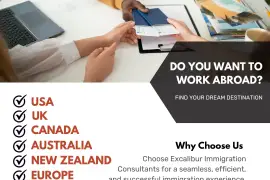 Get Working Visa Consultants In Canada - Excalibur Immigration