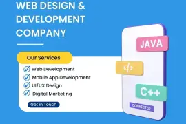 Exceptional Web Development and UI/UX Design Services in the UK