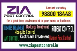 Zia Pest control service | Cockroach treatment service in Bangalore | 1981