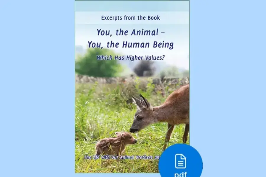 PDF You, the animal you, the human being, which has higher values