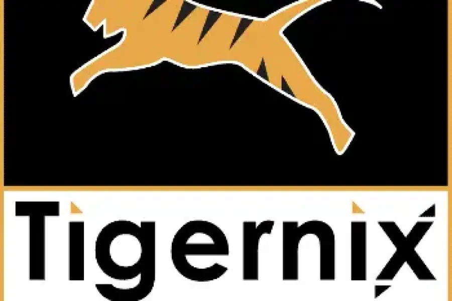 Bridge the Gap: TigernixCharity's Connection to Change