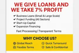 Looking Investor For My Business 
