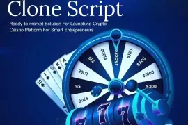 Stake Clone Script: Instantly Deployable For Your Casino Venture