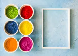 Flamingo Colours Manufacturers for High-Performance Pigments