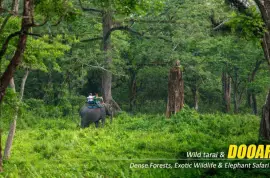 Dooars Package Tour with Jaldapara Elephant Safari : Explore More