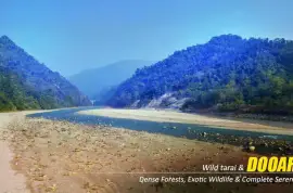 Dooars Package Tour with Jaldapara Elephant Safari : Explore More