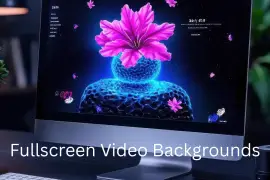 web design ideas