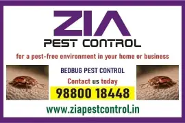 Zia Pest control | Bedbug Treatment | Rodent | 1981 Bedbugs service