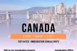 Get the Best Immigration Consultants In Canada - Excalibur Immigration