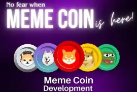 Meme coin development company