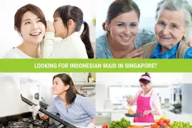 Looking for Indonesian Maid in Singapore