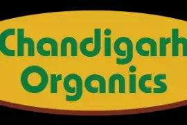 Benefits for Buying Organic Food Online