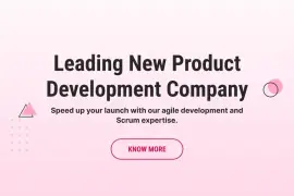 Leading New Product Development Company