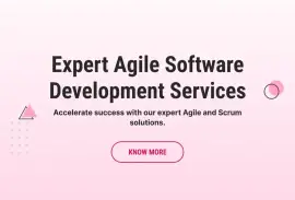 Expert Agile Software Development Services