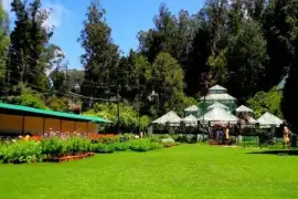 8+ Ooty honeymoon packages with price | Honeymoon Package for 3 Days 2 Nigh