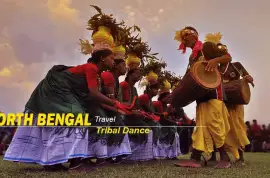 North Bengal Tour Packages – Perfect for Family, Couples, and Nature Lovers