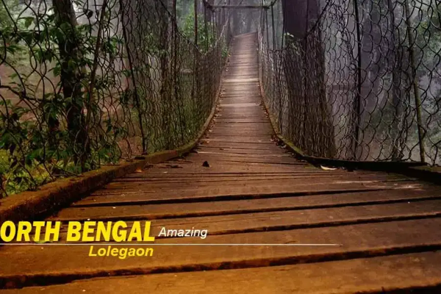 North Bengal Tour Packages – Perfect for Family, Couples, and Nature Lovers