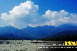 Dooars Package Tour from Kolkata – A Perfect Blend of Forest, Wildlife, and