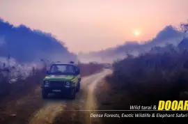 Dooars Package Tour from Kolkata – A Perfect Blend of Forest, Wildlife, and