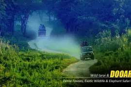 Dooars Package Tour from Kolkata – A Perfect Blend of Forest, Wildlife, and